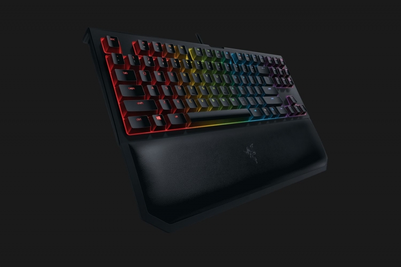 Razer Blackwidow Tournament Edition Chroma V2 Mechanical Gaming Keyboard Us Layout Frml Yellow Switch Rz03 Razer Blackwidow Tournament Edition Chroma V2 Mechanical Gaming Keyboard Us Layout Frml Yellow Switch Rz03