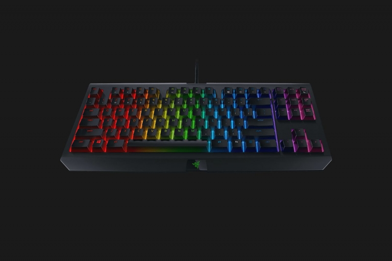 Razer Blackwidow Tournament Edition Chroma V2 Mechanical Gaming Keyboard Us Layout Frml Yellow Switch Rz03 Razer Blackwidow Tournament Edition Chroma V2 Mechanical Gaming Keyboard Us Layout Frml Yellow Switch Rz03